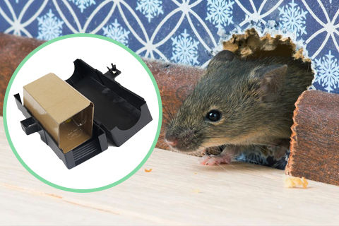 Haierc rodent control products : Mouse Trap