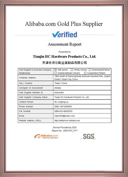 SGS Factory Assessment Report