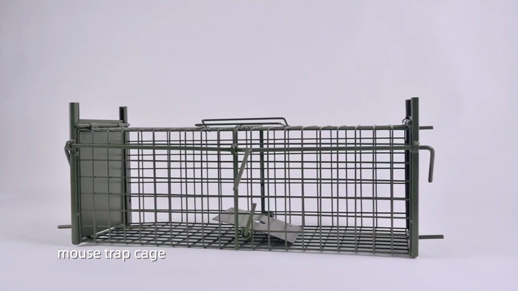 Haierc Pest Control: Mouse Trap Cage